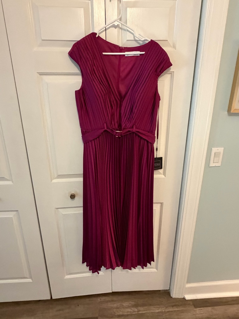 Mac Duggal Berry Pleated V-Neck Maxi Dress